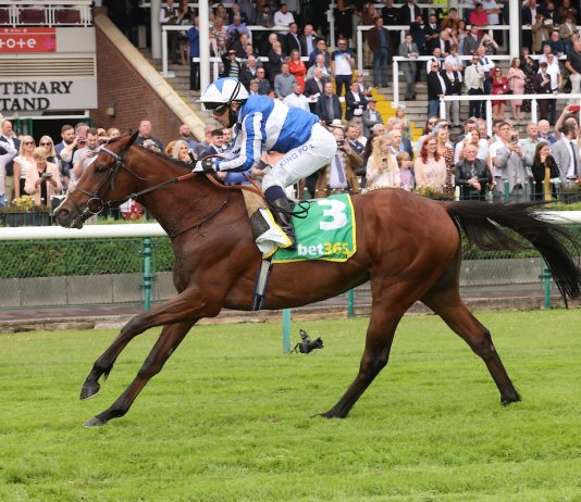 Alounak wins Haydock's feature race of the day, The Bet 365 Old Newton Cup Handicap Stakes