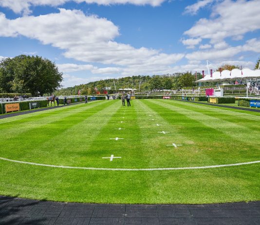 SUMMERGHAND EYES GLORY AT GOODWOOD SUMMERGHAND EYES GLORY AT GOODWOOD