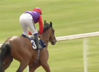 Sir Michael Stoute saddled fromthehorsesmouth.info tip Hasty Sailor (9-2) to win the Class 3 Collingwood Handicap over 1m 4f at Newcastle