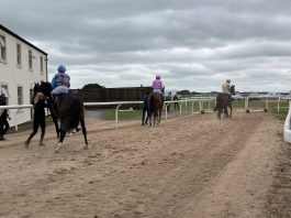 Alston and Prescott eye success at Carlisle Alston and Prescott eye success at Carlisle