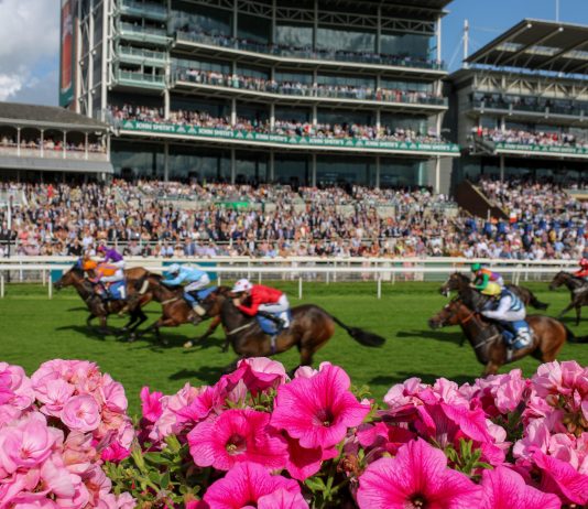 Snowfall English, Irish and Darley Yorkshire Oaks bid