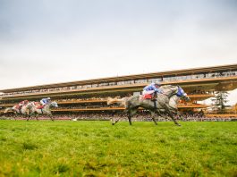 Tarnawa eyes £4.3m Arc de Triomphe - Europe's richest race