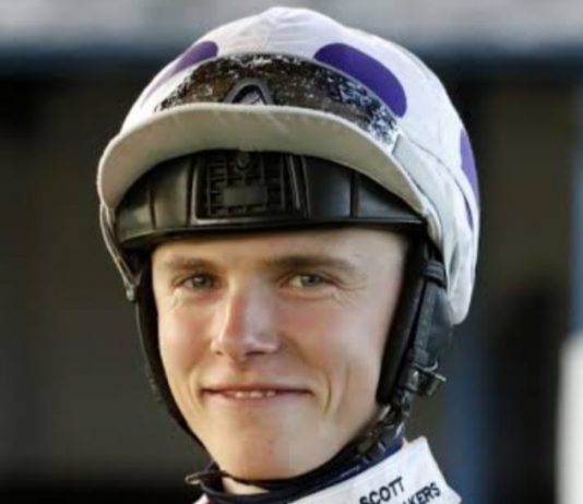 Oasis Prince (4.40) ridden by Phil Dennis at Ripon.