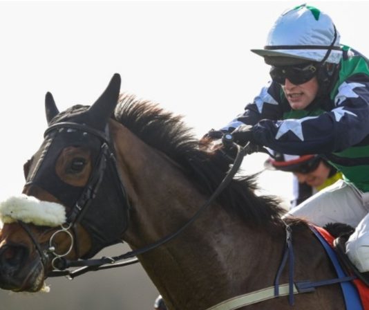 IRISH EYES ARE SMILING! Gary Noonan rode 10-1 tip Cosmic Rock to victory at Listowel.