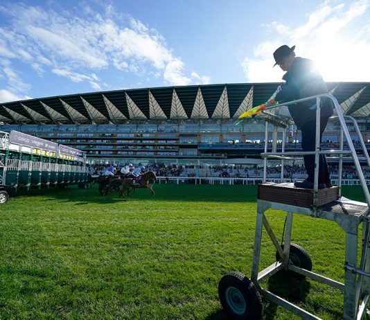 Glen Shiel (22-1) tipped each-way by fromthehorsesmouth.info second in Ascot Qipco British Champions Sprint Stakes