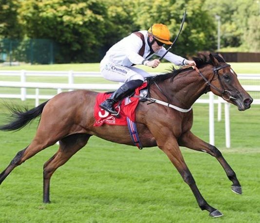 Pearls Galore eyes Breeder’s Cup Pearls Galore: Not ruled out of Breeders’ Cup.