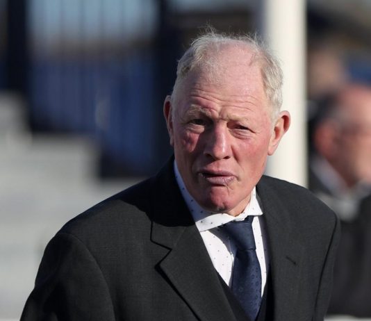 Gary Moore trained Goshen (3.35) Wincanton's Unibet Elite Hurdle.