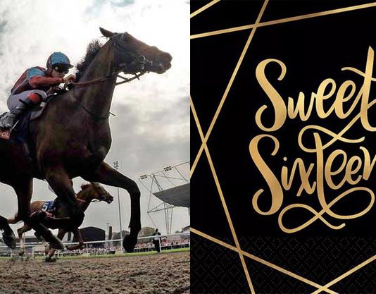 SWEET 16! Hi Ho for fromthehorsesmouth.info punters