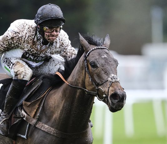 Constitution Hill wins the @UnibetRacing  Tolworth Novices’ Hurdle