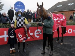 Jungle Boogie wins at Fairyhouse on New Years Day