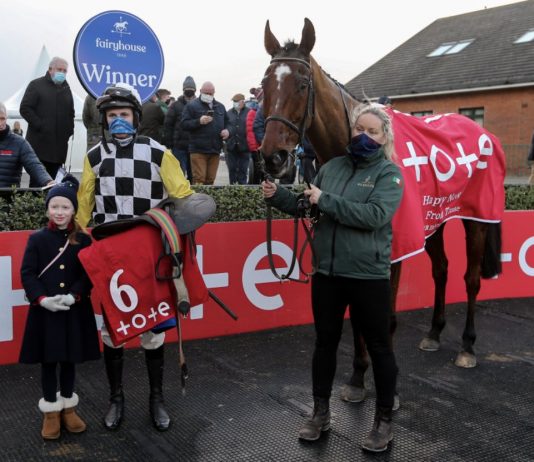 Jungle Boogie wins at Fairyhouse on New Years Day