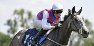 Ross Coakley rode fromthehorsesmouth.info tip Chance to Betway Handicap Lingfield win. (Twitter)