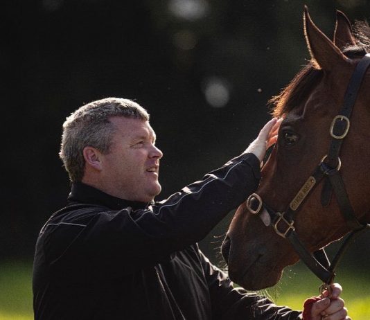 Tiger Roll to bag €45,000 Navan Handicap Hurdle purse?