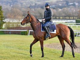 Aidan Coleman rides Sam Brown (2.40) Haydock Park.