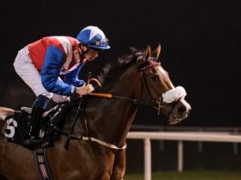 Racing at Chelmsford abandoned