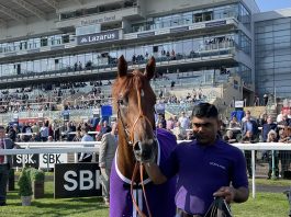 Saturday Racing Roundups at Doncaster, Kempton Park and Kelso Persian Force tipped by fromthehorsesmouth.info lands SBK Brocklesby Conditions Stakes