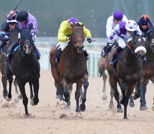 Trebling Up with fromthehorsesmouth.info Trebling Up with fromthehorsesmouth.info