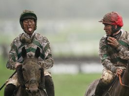 Saturday’s Racing Previews Fontwell, Kempton, Newcastle Saturday's Racing Previews Fontwell, Kempton, Newcastle