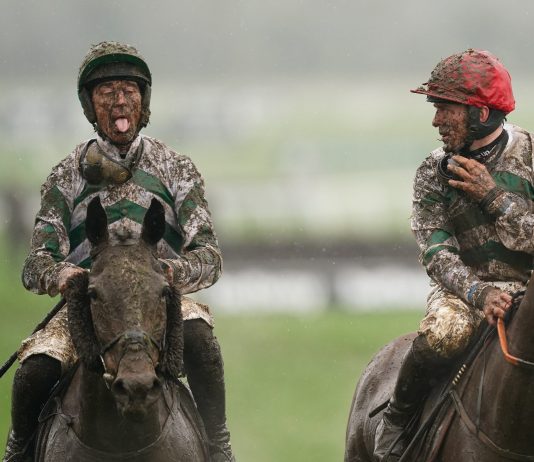 Saturday's Racing Previews Fontwell, Kempton, Newcastle