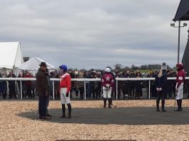 Gentlemansgame lands Thurles Carey Glass Hurdle