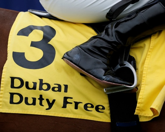 Carp Kid lands place at Newbury Harry Redknapp: Moktasaab Newbury Dubai Duty Free Millennium Millionaire Handicap win.