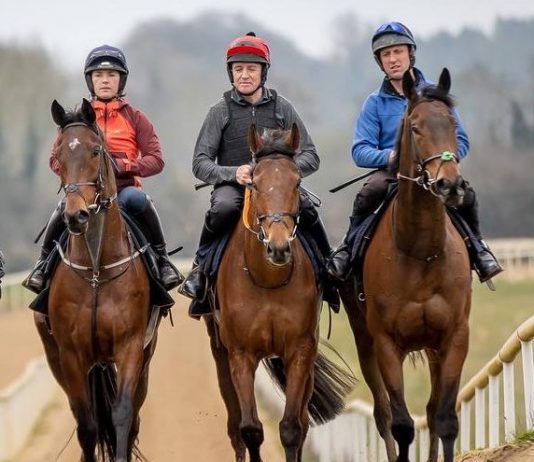 ELLIOTT ROLLS THE DICE WITH 8 RUNNERS IN AINTREE GRAND NATIONAL Trebling Up with fromthehorsesmouth.info