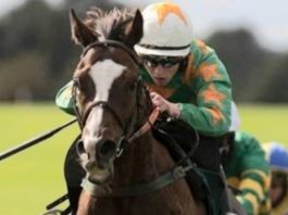 Michael O'Connor: Echoes Of Family (7-1) fromthehorsesmouth.info tip Fairyhouse BoyleSports Mares win.