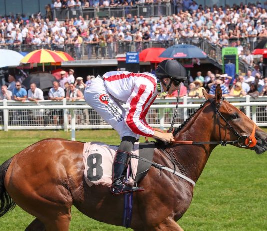 Ben Robinson rides Onesmoothoperator (3.30) Newcastle Northumberland Plate.