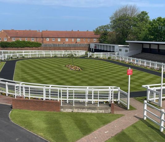 Saturday’s Racing Previews news and tips Redcar, Perth and Haydock Park Redcar Racecourse Owners Enclosure