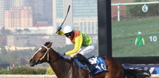 The most talked-about and prestigious races in the Indian racing calendar are collectively known as the “Classics.” They include the Indian Derby, Indian 1,000, and Bangalore Derby. These are the races that attract the most attention from fans, the media, and bookmakers.