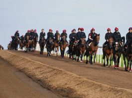 Battash, Kachy and Mabs Cross in Haydock £100,000 Stakes Aidan O'Brien trained horses at Coolmore stud