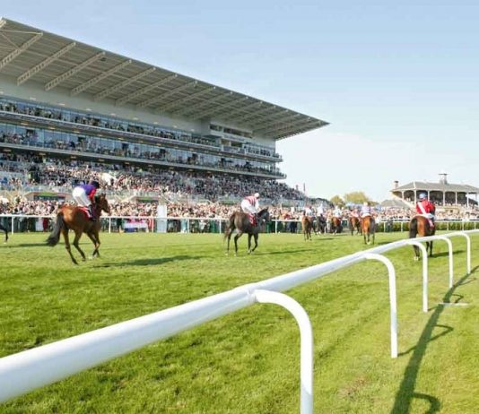 HYANNA Sandown fromthehorsesmouth.tips selection wins at 10-1 A walk in the Park at Ascot