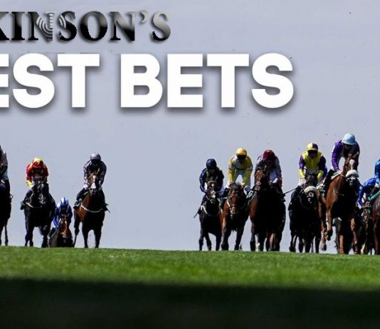 Eleven horse winning accumulator returns odds of 239,442-1