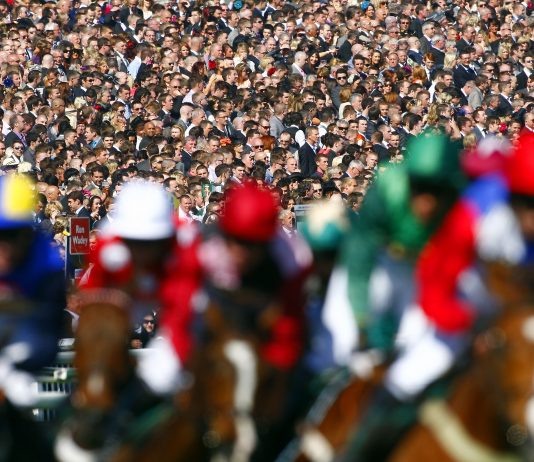 BOOKIES HIT FOR 6 AS GROWL BITES!