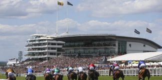 fromthehorsesmouth.tips had a 21-1 double at Epsom's 2019 Derby meeting