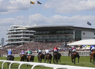 fromthehorsesmouth.tips had a 21-1 double at Epsom's 2019 Derby meeting
