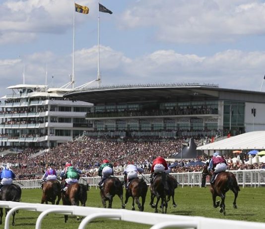 fromthehorsesmouth.tips 9 horse 3,214-1 accumulator fromthehorsesmouth.tips had a 21-1 double at Epsom's 2019 Derby meeting