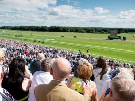 26,941-1 nine horse winning fromthehorsesmouth.tips accumalator 26,941-1 nine horse winning fromthehorsesmouth.tips accumalator