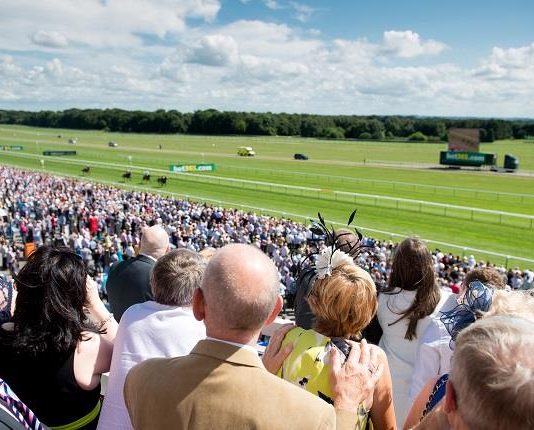 26,941-1 nine horse winning fromthehorsesmouth.tips accumalator