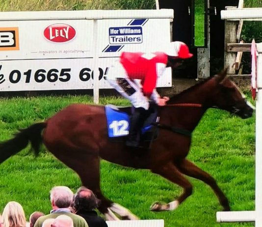 Lord Rococco wins at Hexham.