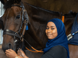 I'll never forget this day - I want to do it all over again - Mellah, featured by fromthehorsesmouth.tips