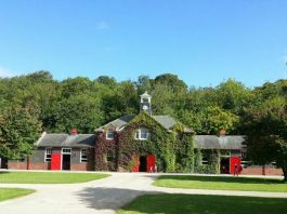 Liberty Beach is trained at the wonderful John Quinn stables