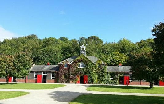 Liberty Beach is trained at the wonderful John Quinn stables
