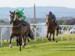 Kellys Dino: Image supplied by The Jockey Club