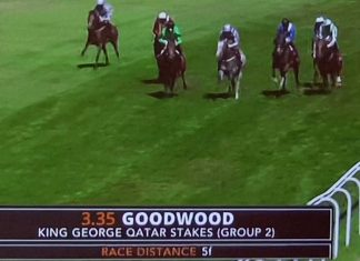 Battash, 2018 winner of the King George Qatar Stakes