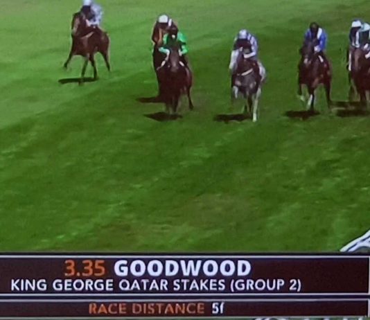 Battash, 2018 winner of the King George Qatar Stakes