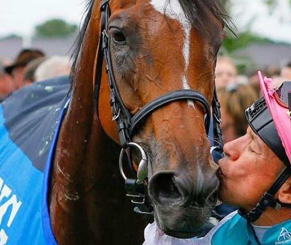 THREE superstar females feature among the nominations for the 29th Cartier Horse Of The Year including Enable