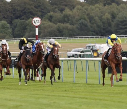 Wissahickton to win Haydock G3 Rose of Lancaster Stakes Teodoro winning the Rose of Lancaster Stakes in 2018.