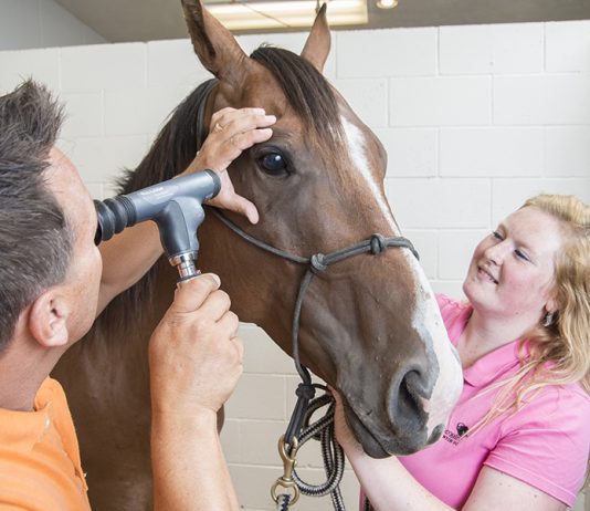 Maid In India undergoes eye scrape