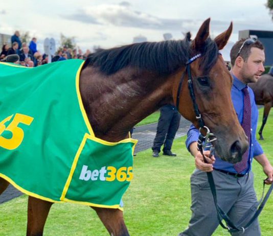 Lord North lands the Bet365 Cambridgeshire. Img Twitter